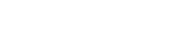 Logo Bordalize
